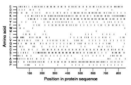 amino acid map