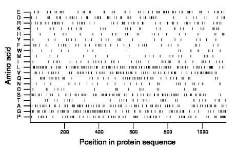 amino acid map