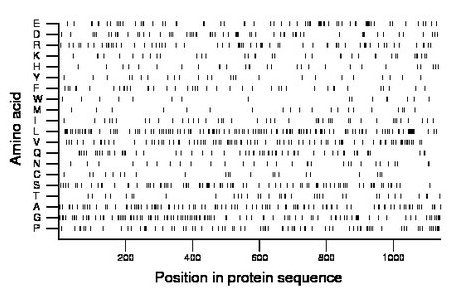 amino acid map