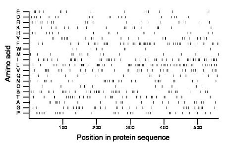 amino acid map