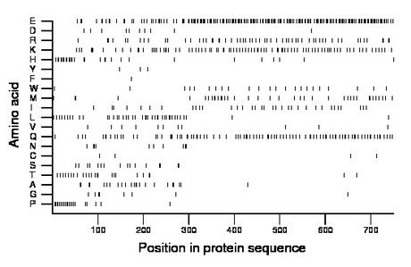 amino acid map