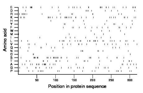 amino acid map