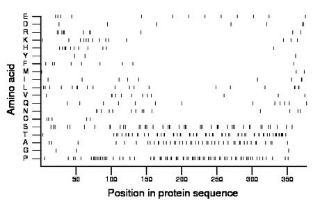 amino acid map