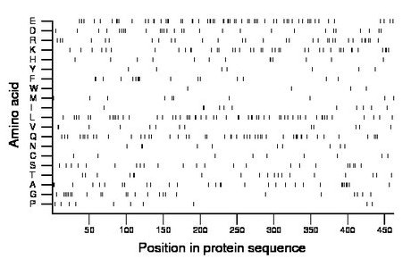 amino acid map