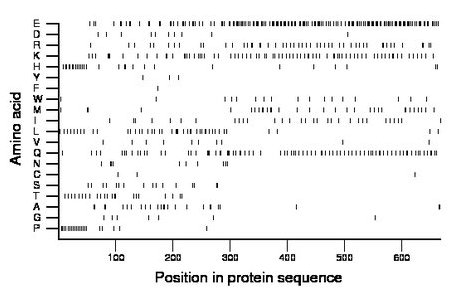 amino acid map