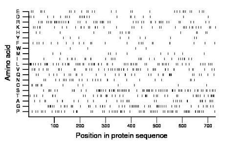 amino acid map