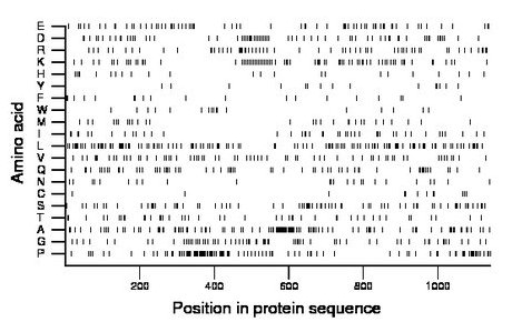 amino acid map