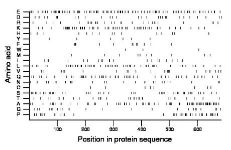 amino acid map