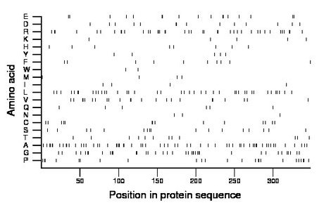 amino acid map