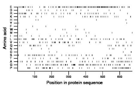 amino acid map