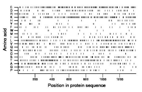 amino acid map