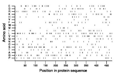 amino acid map