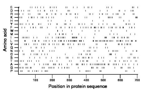 amino acid map