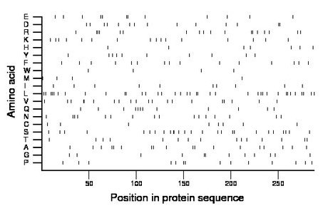 amino acid map