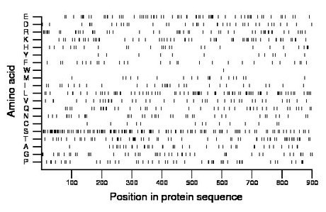 amino acid map