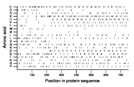 amino acid map