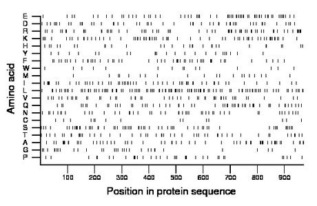 amino acid map