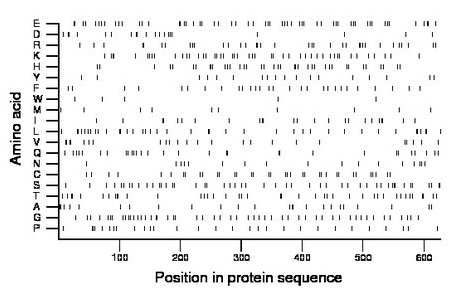 amino acid map