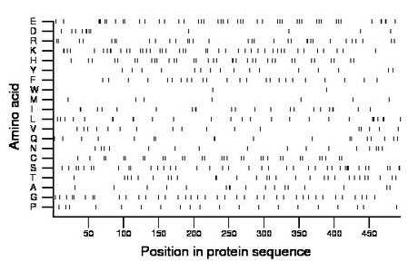 amino acid map