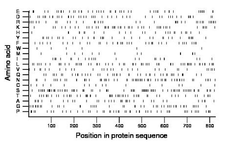 amino acid map