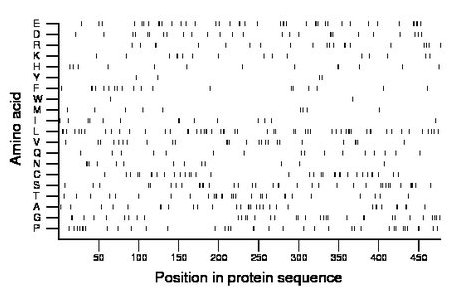 amino acid map