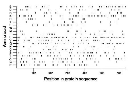 amino acid map