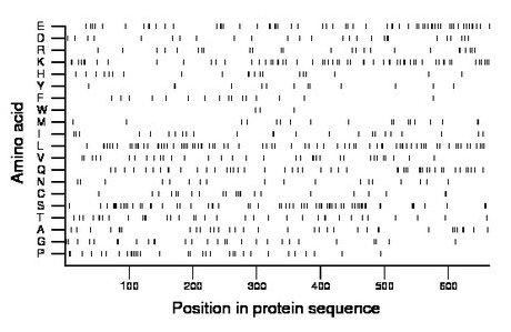 amino acid map