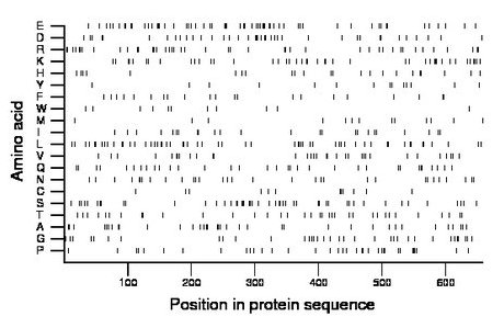 amino acid map