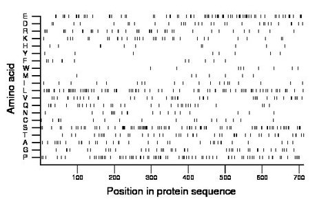 amino acid map