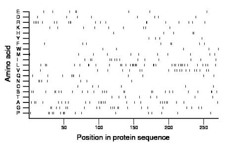 amino acid map