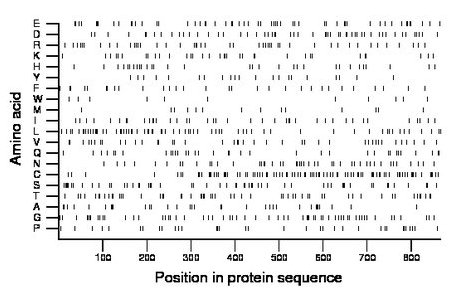 amino acid map