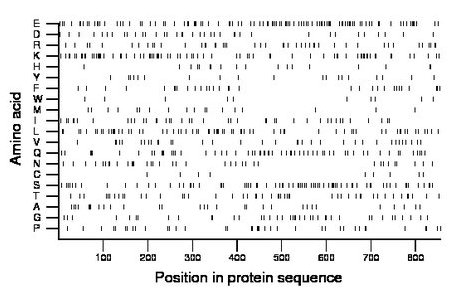 amino acid map