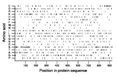 amino acid map