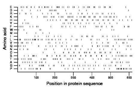 amino acid map