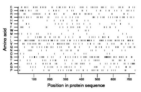 amino acid map