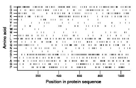 amino acid map