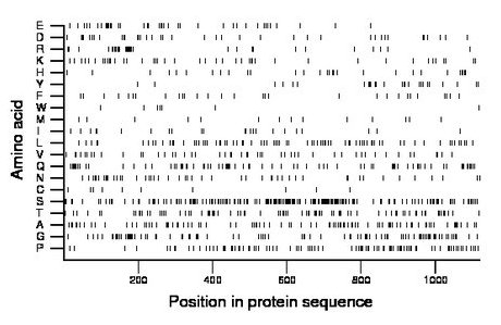 amino acid map