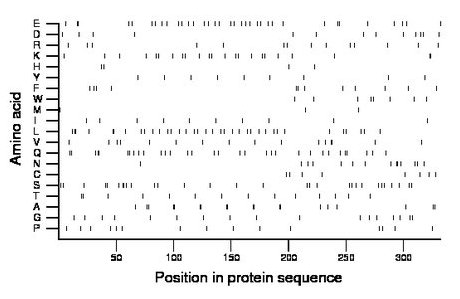 amino acid map