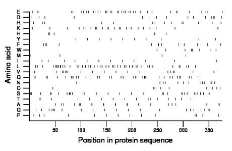 amino acid map