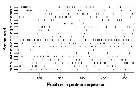 amino acid map