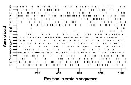 amino acid map