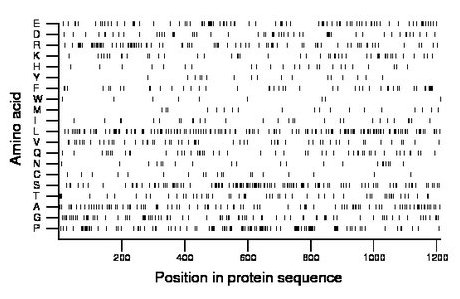 amino acid map