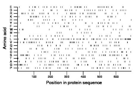 amino acid map