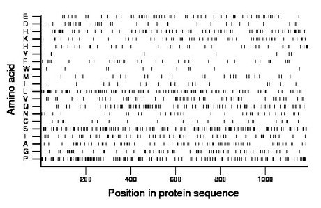 amino acid map