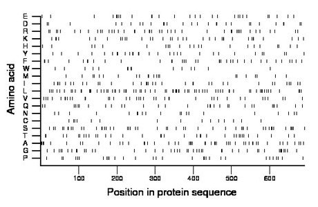 amino acid map