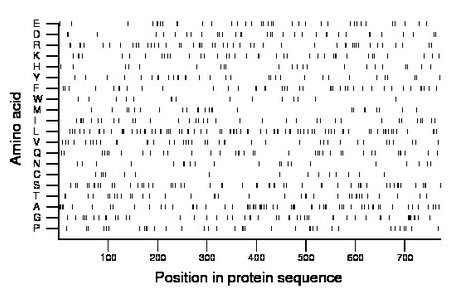 amino acid map