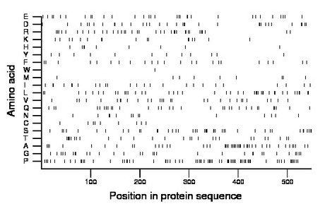 amino acid map