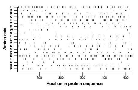 amino acid map