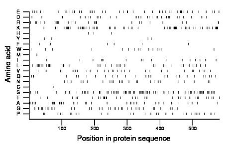 amino acid map