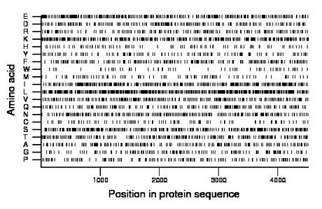 amino acid map